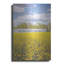 «Field of Yellow I» par Donnie Quillen, art mural en métal, 16 po x 24 po