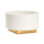 Deco Fan Ceramic Planter-62272855