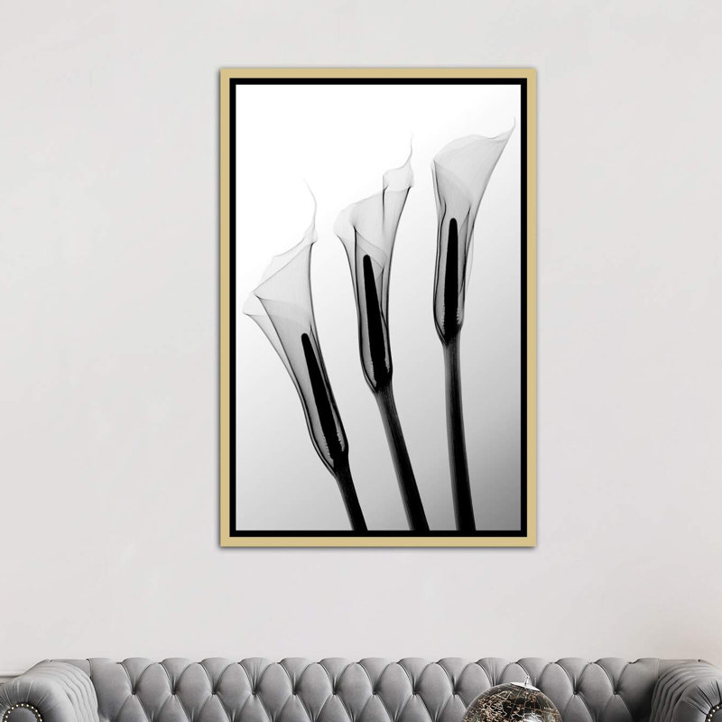 Callas I par Hong Pham - reproduction de photo, H 26 po x l 18 po x 1,5 po, Toile encadrée d'or