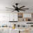 Ceiling Fan