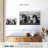 Brampt Bernese Mountain Dogs-107709249
