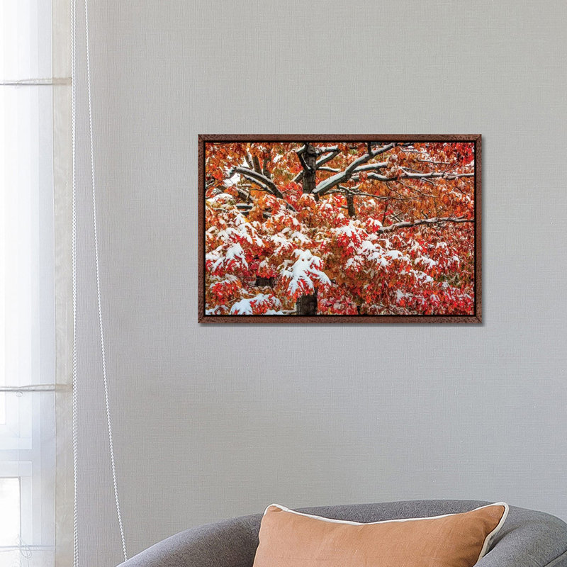 Seasons Of Change by Bill Sherrell - Gallery-Wrapped Canvas Giclée on Canvas, Classic Wood Framed, 66.04 cm H x 45.72 cm W
