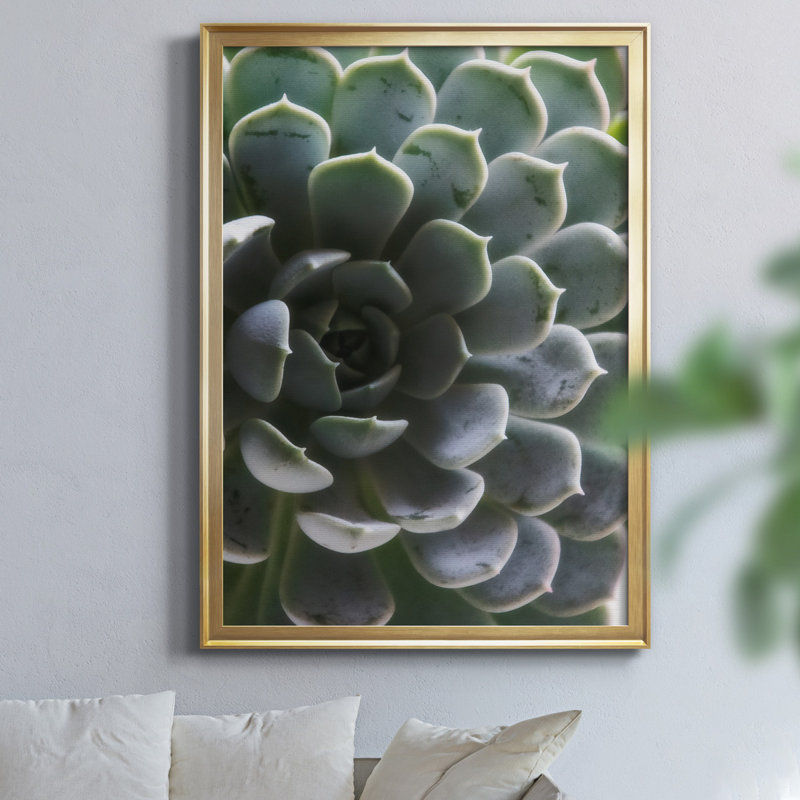 «Zen Succulent I» par J Paul - reproduction de photo sur toile encadrée, H 22,5 po x l 30,5 po x P 1,5 po, Doré