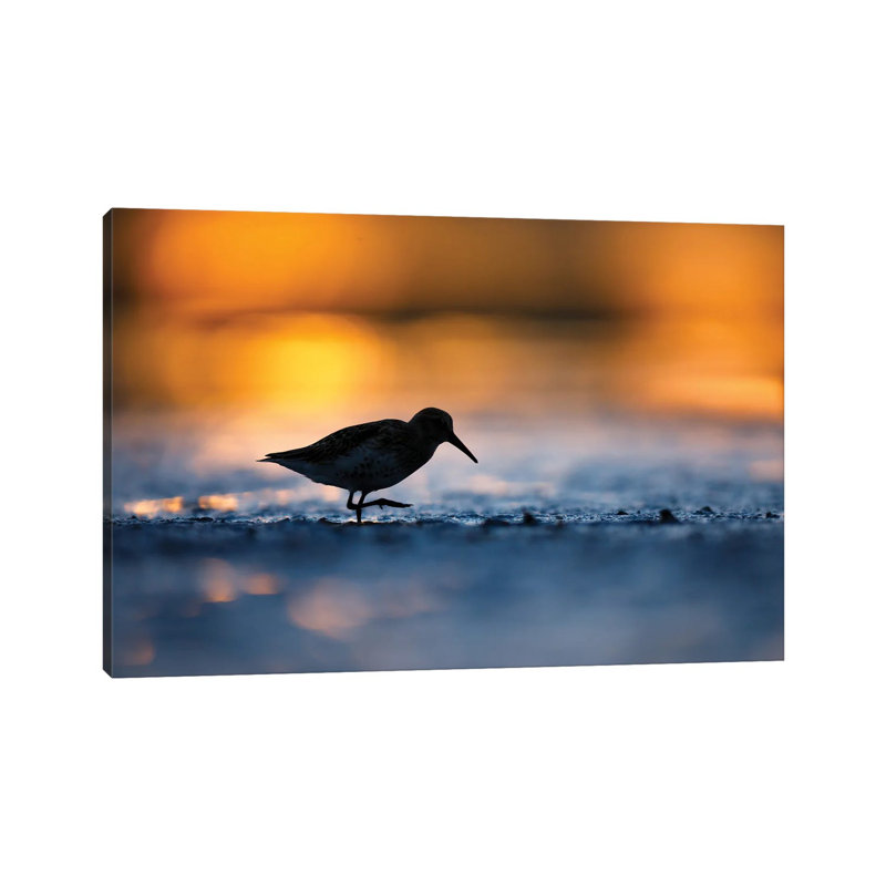 At Sunset 1 Piece Wrapped Canvas Wall Art, 66.04 cm H x 45.72 cm W x 3.175 cm D