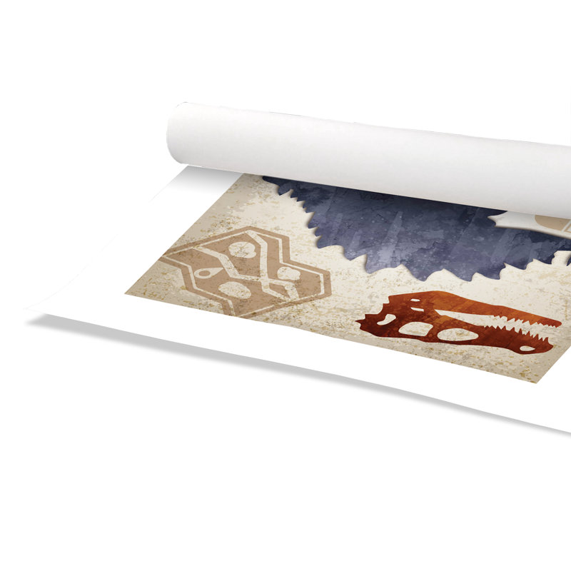 Décalcomanie murale Dinosaures-02 ', H 10 po x l 8 po x P 1 po, Papier