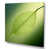Wrapped Canvas selected