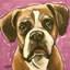 Boxer Cam 1 Piece Wrapped Canvas Painting-1452330284