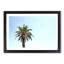Lone Palm Tree - Picture Frame Graphic Art Print-56859900-56859903