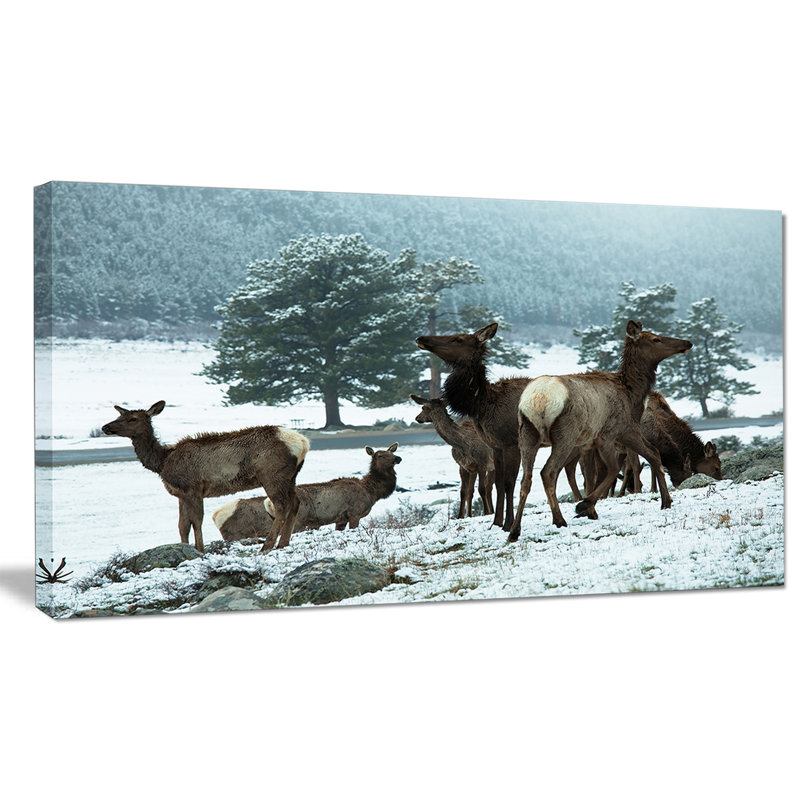 Extra Large Brown Canvas Print of Deer in Snowy Landscape