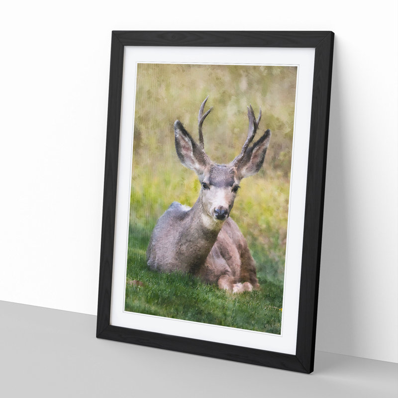 A Resting Deer - Picture Frame Painting, Black Framed, 48cm H x 36cm W x 2cm D