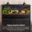 Grand terrarium Deneishia-52916583-101483204