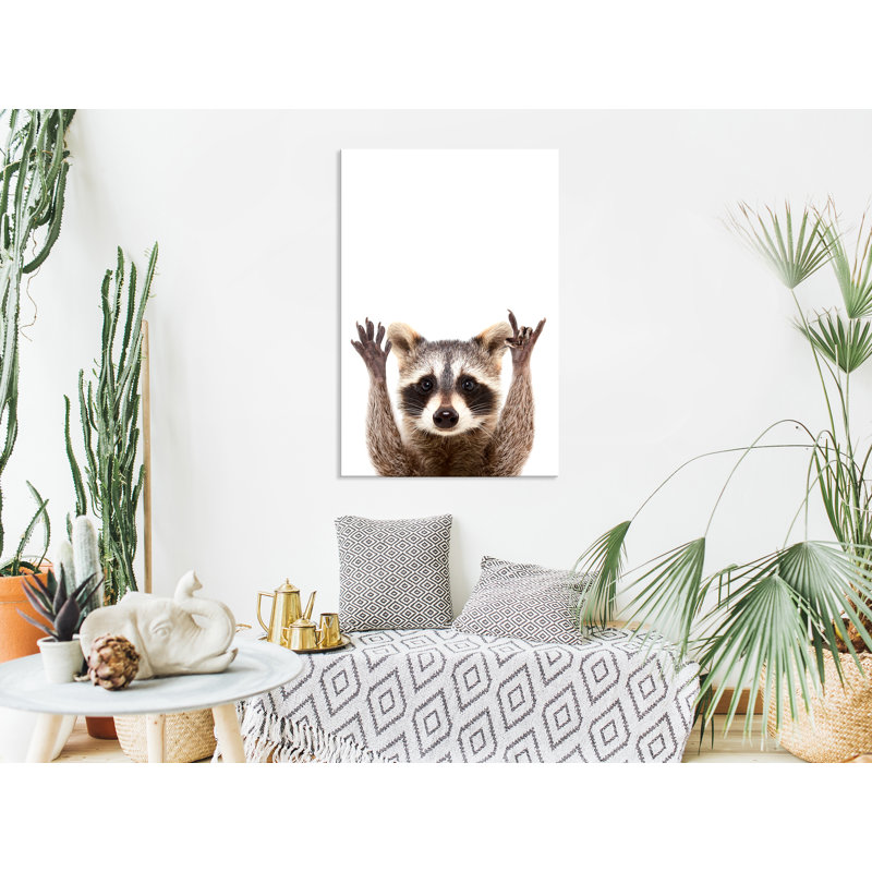 Raccoon - Print on Canvas, 90cm H x 60cm W