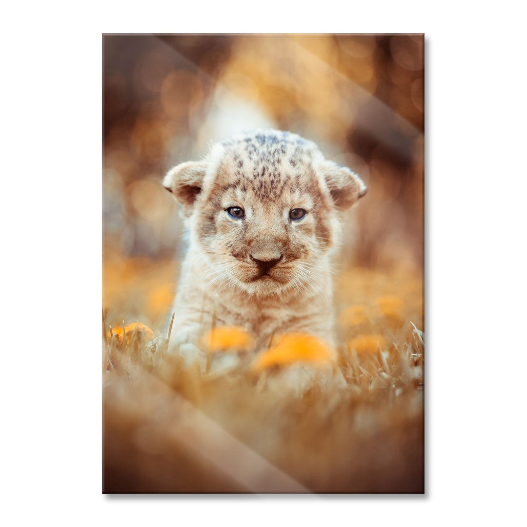 Ungerahmtes Foto auf Glas "Cute Lion Cub"