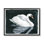 Portrait de cygne élégant, estampe numérique par Grace Popp