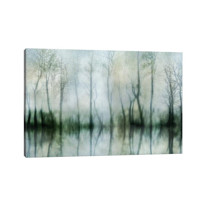 Mirrored Pond by Irene Weisz - Wrapped Canvas Print, 66.04 cm H x 45.72 cm W x 1.91 cm D