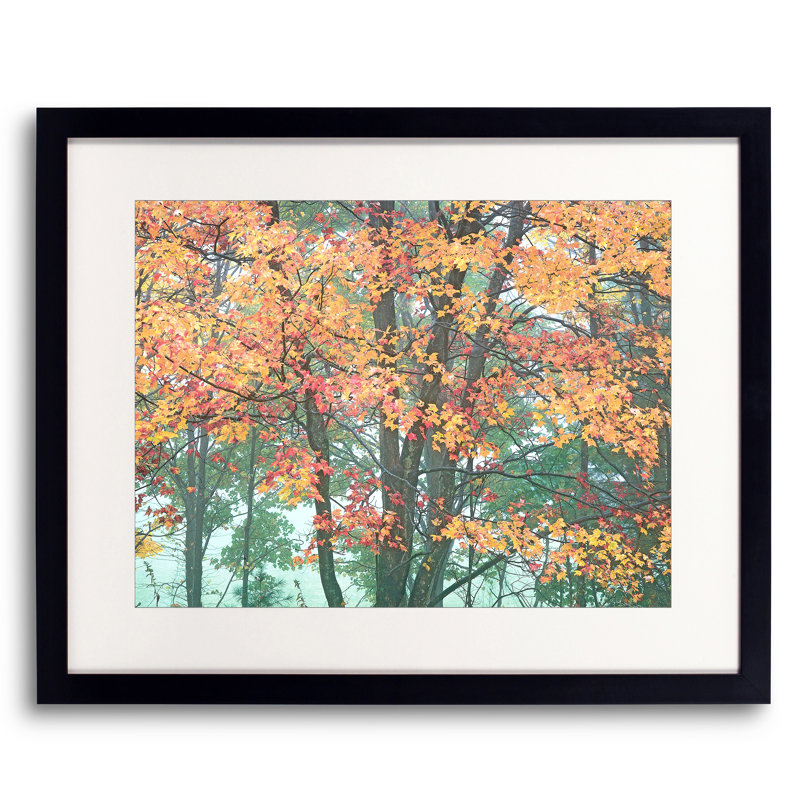 Autumn Portrait Blue Ridge Parkway #3 Print by Bruce Heinemann, Black Framed Paper, 16" H x 20" W