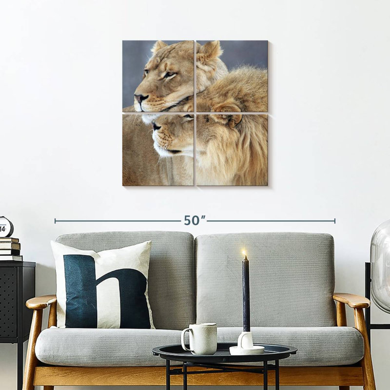 Amour de lion et de lionne Brampt, H 26 po x l 26 po