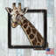 Décoration murale giraffe-28724672