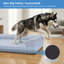 Lit orthopédique rafraîchissant pour chien, taille XL