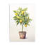 Plaque murale Citrus Tree Serenade, design par Andrea Haase-333654953