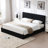 Gaillarde Hydraulic Lift Up Storage Upholstered Platform Bed-602637128-602637129
