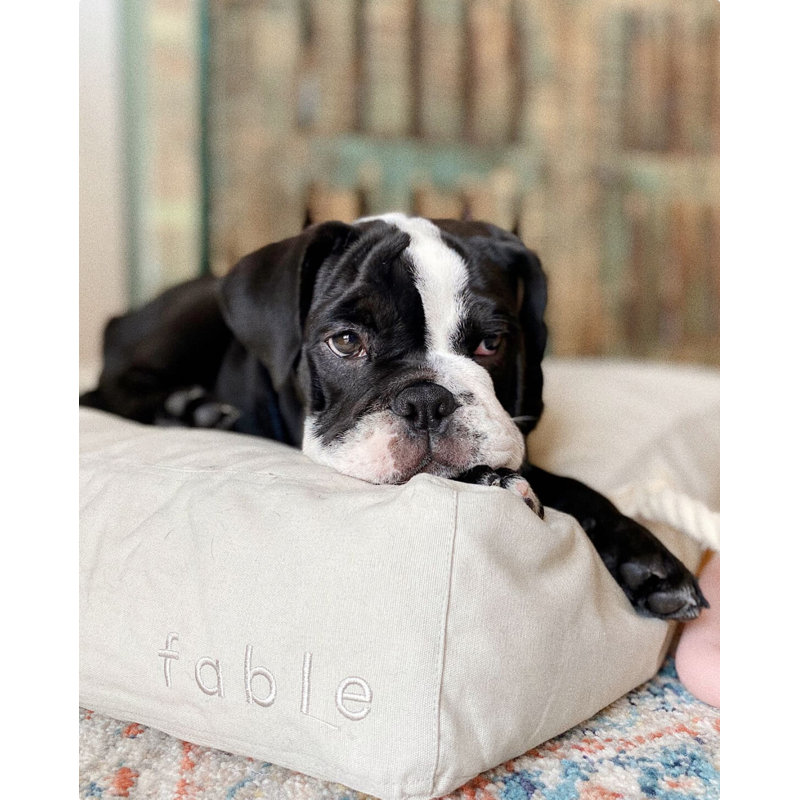 Signature Pillow/Classic Bed, Medium (24" W x 30" D x 4.75" H), Tofu