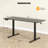63 x 24 Inch Sit Stand Desk Height Adjustable Electric Standing Desk