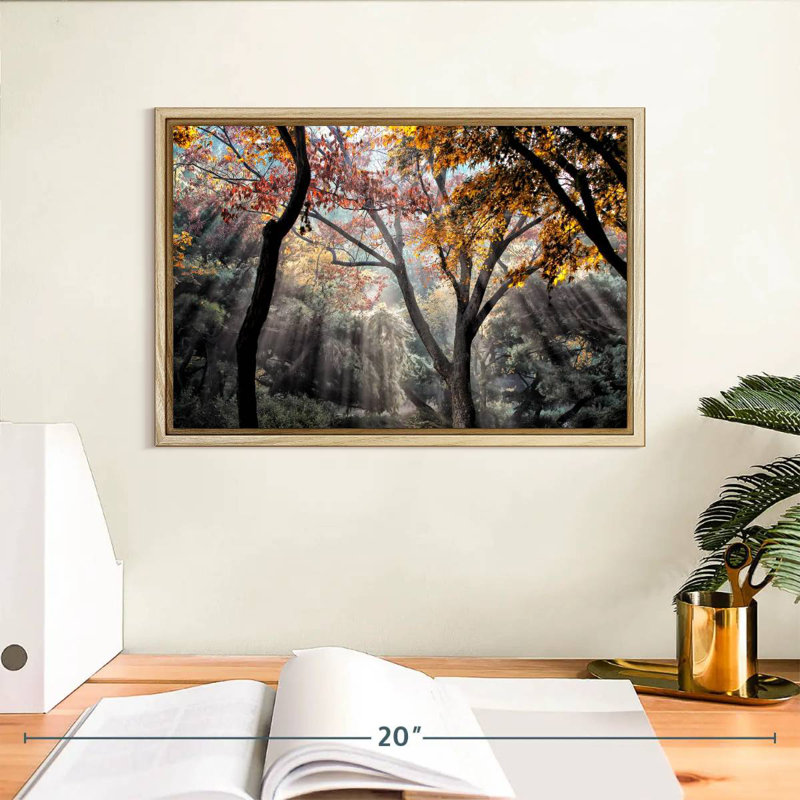 Rayons de soleil de la forêt, Cadre flottant en bois naturel, 13 po x 9 po