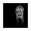 «Leopard II», reproduction de photo sur toile-29172256-72784208-72784209