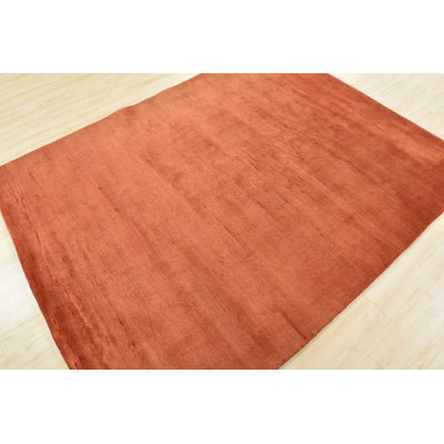 Hand Knotted Wool Indoor Rug