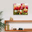"Tulipes" par PhotoINC Studio-1547412591