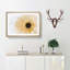 Pale Yellow Gerbera - Single Picture Frame Print on MDF-56704364-56704365