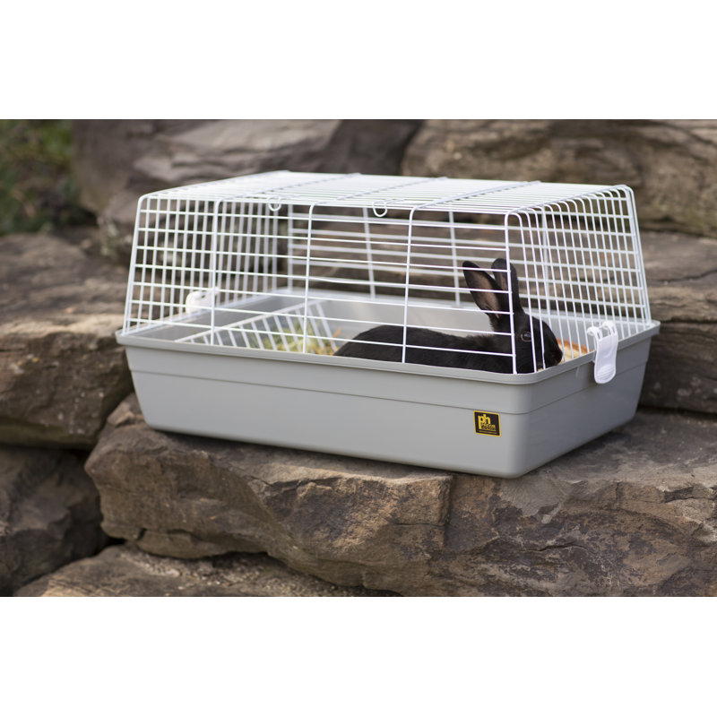 Cage Azhanae