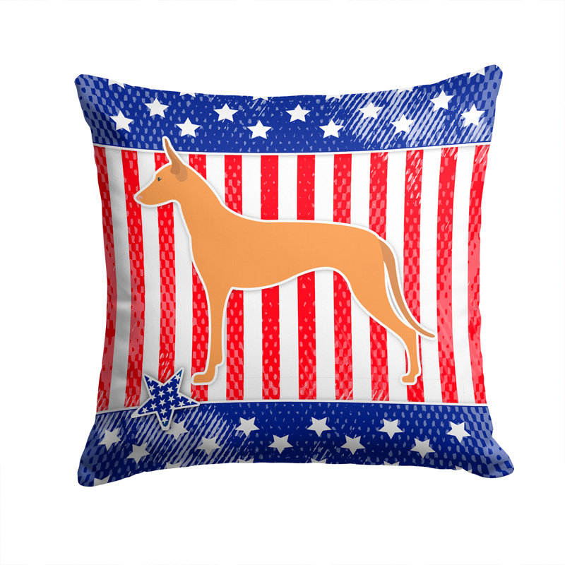 Coussin intérieur/extérieur Patriotic, H 14 po x l 14 po x P 3 po