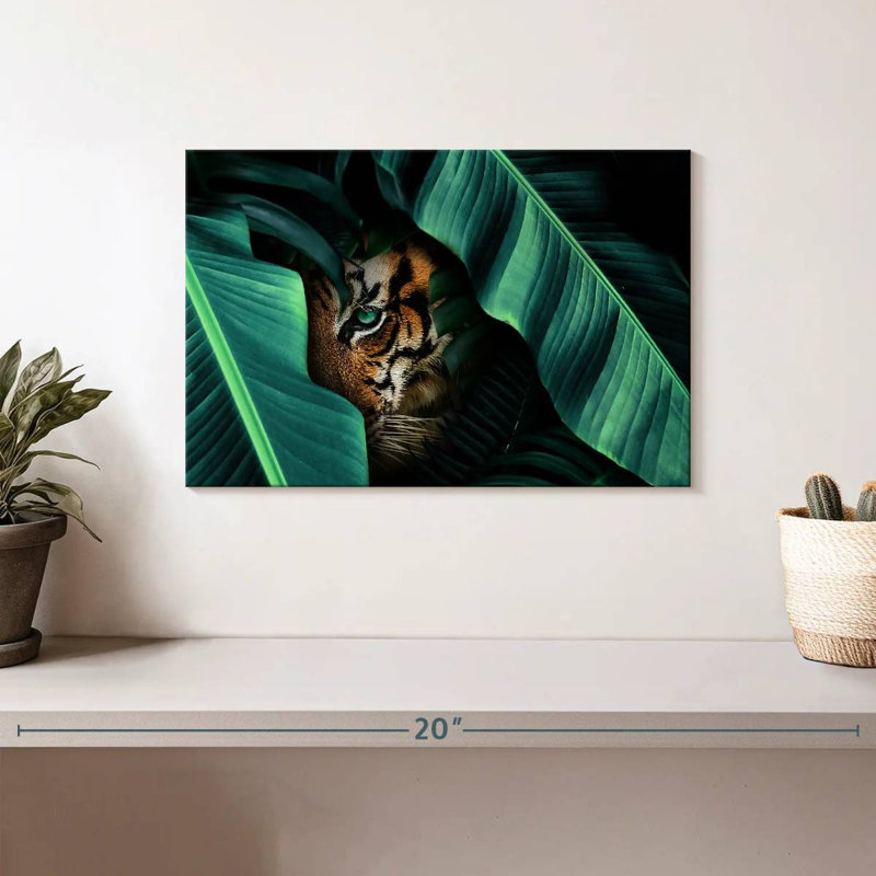 Brampt Hiding Tiger, 8'' H x 12'' W