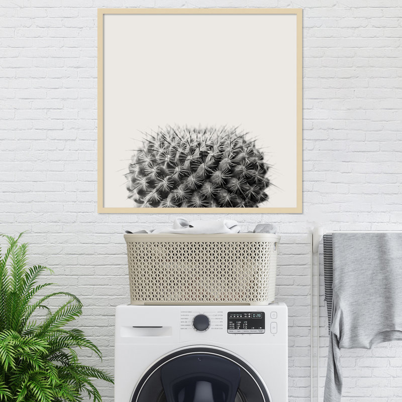 «Haze Cactus Succulent» par The Creative Bunch Studio - reproduction de photo encadrée, H 40 po x l 40 po, Encadré naturel