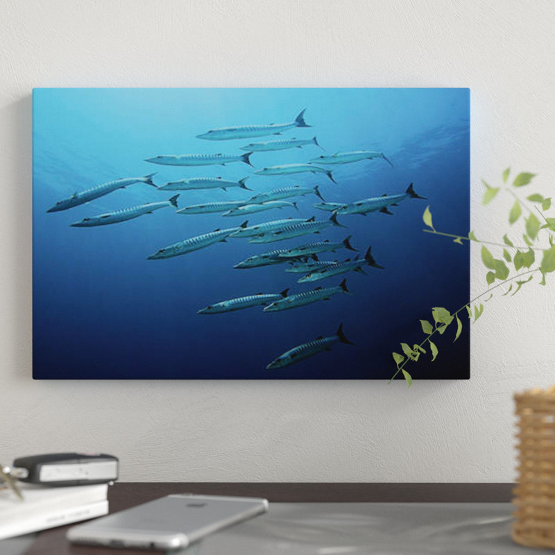 « barracudas », impression sur toile, H 18 po x l 26 po x P 1,5 po, Toile tendue, Pas de tapis