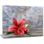«Beautiful Fallen Red Lily Flower», reproduction de photo sur toile tendue-25565852