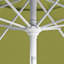 Parasol de marché Cataleya-88626845-87897164