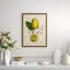 Lemons And Ribbons 1 Giclee Print