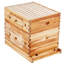 Trousse de démarrage Bee Hive à 20 cadres, bois de cèdre enduit de cire d'abeille, 1 trousse de ruches Langstroth, 1 fenêtre profonde et 1 boîte à abeilles moyennes, fenêtres en acrylique transparent avec Foundations pour les débutants Pro Beekeepers