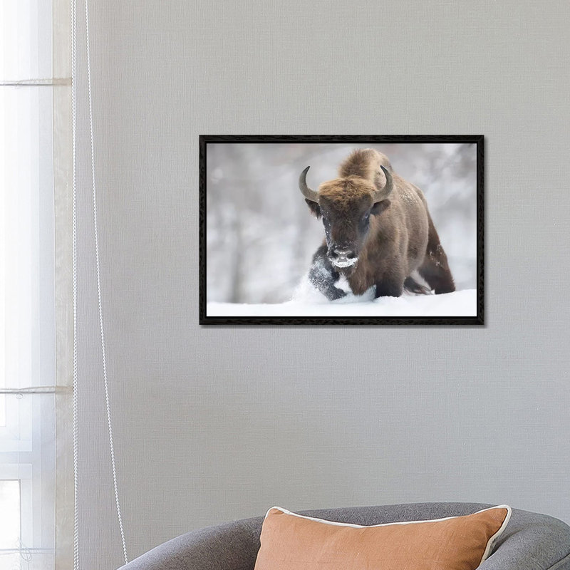 Rewilded 1 Piece Wall Art on Canvas, 45.72cm H x 66.04cm W x 3.81cm D, Black Floater Framed