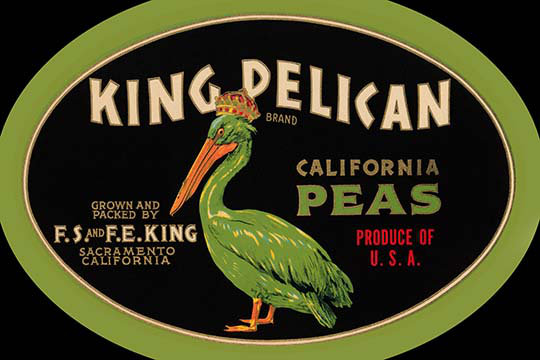 « king pelican california pois », affiche rétro, 20 po x 30 p
