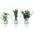 3-Piece Artificial Eucalyptus Faux Plants