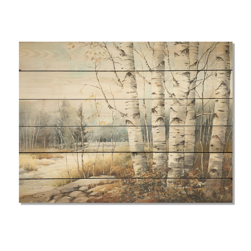 Beauté de bouleau beige et gris I - impression de bois de bouleau sur bois de pin naturel, H 30 po x l 40 po