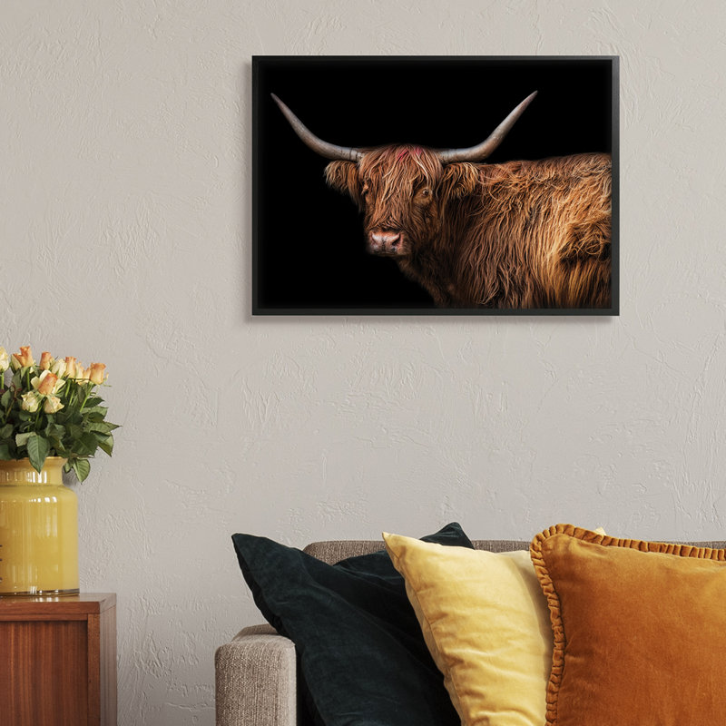 Bétail à poils longs de la ferme, Giclée encadrée noir minuit, H 24 po x l 30 po