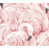 Light Pink is out of stock