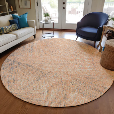  Chayden Indoor/Outdoor Chantille ACN991 Gray Area Rug