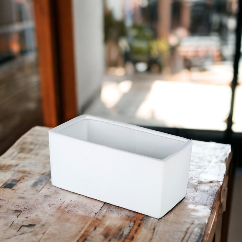 Camarena Handmade Ceramic Pot Planter, White