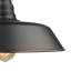 Luminaire suspendu d'extérieur 1 lumière Aleydis